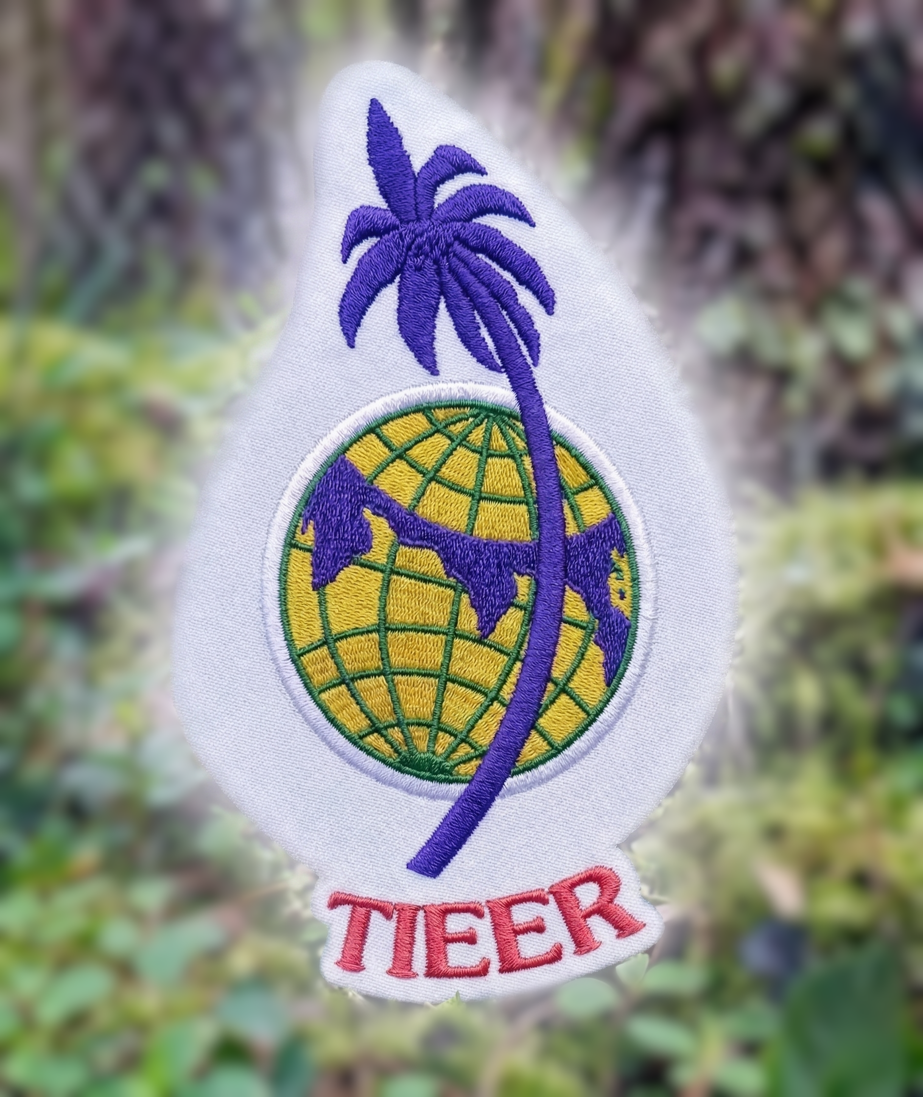 TIEER Institutional Seal